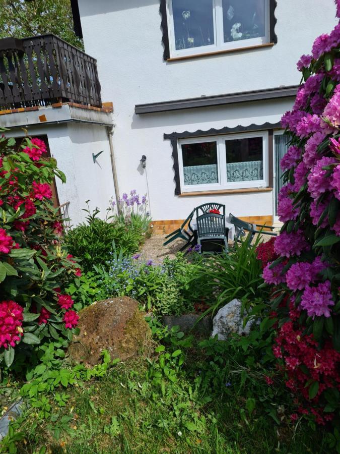 Ferienwohnung Eva Grebenhain ภายนอก รูปภาพ